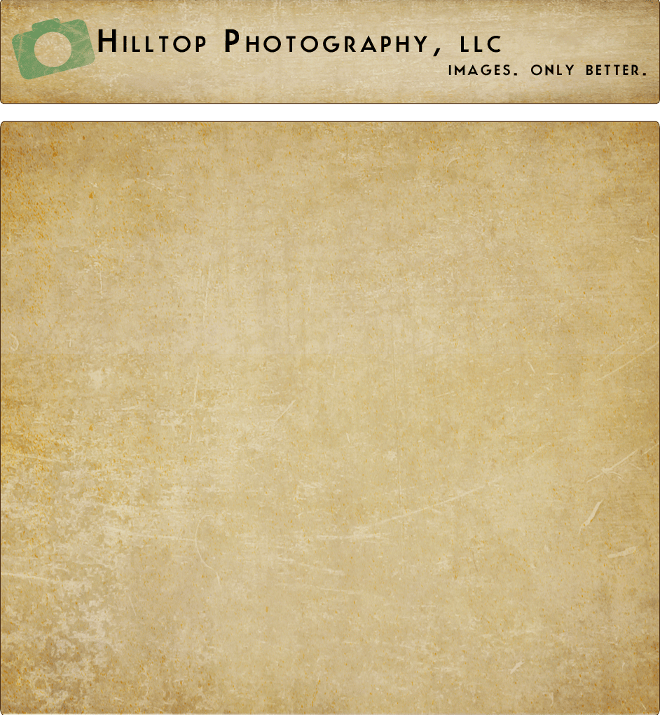 page layout